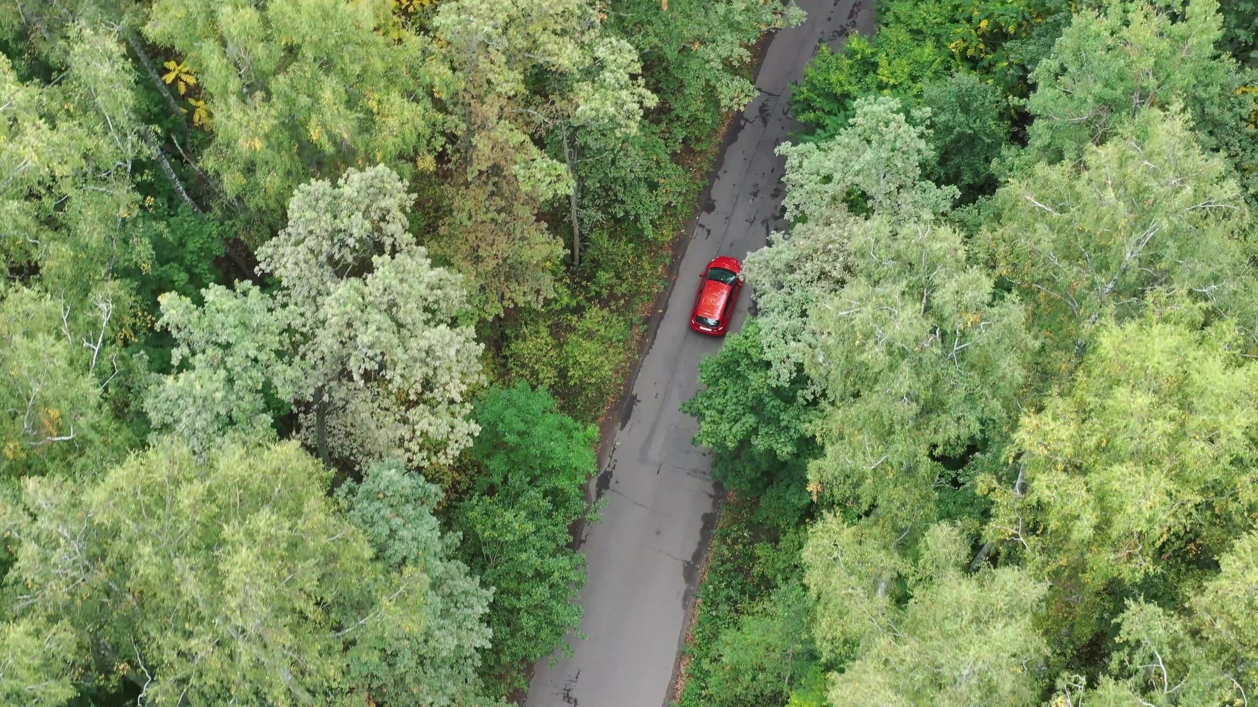 Can you drive a rental car one way?